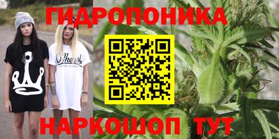 MDMA Гай