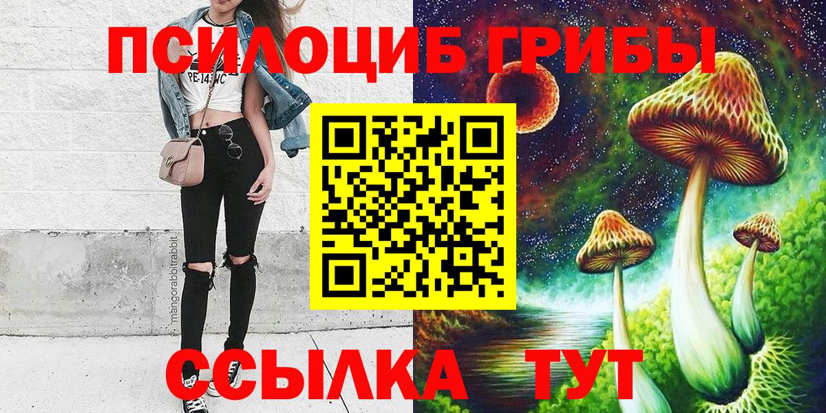 Дальнегорск  Галлюциногенные грибы Psilocybe  наркота  Вход с VPN 